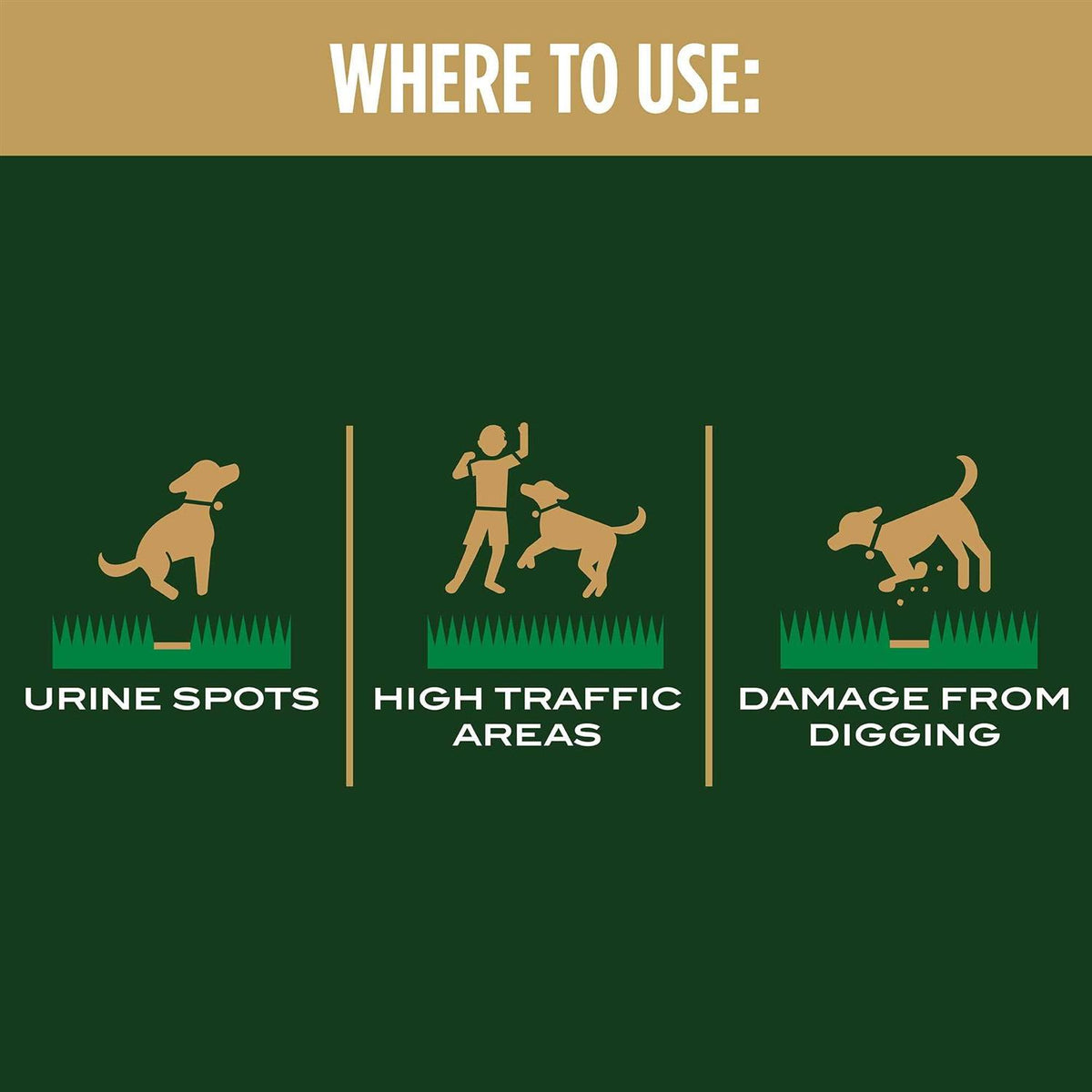 Dog Spot Repair I1059