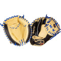 Baseball Catcher P672