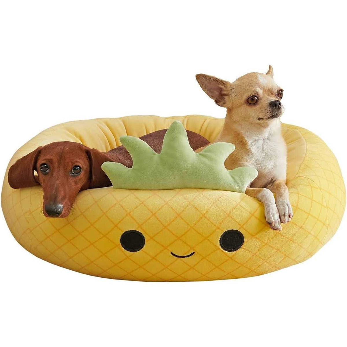 Pineapple Pet Bed R1155