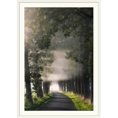 Photographic Print White Frame 32x22 H x 24x22 W x 1x22 D N48621