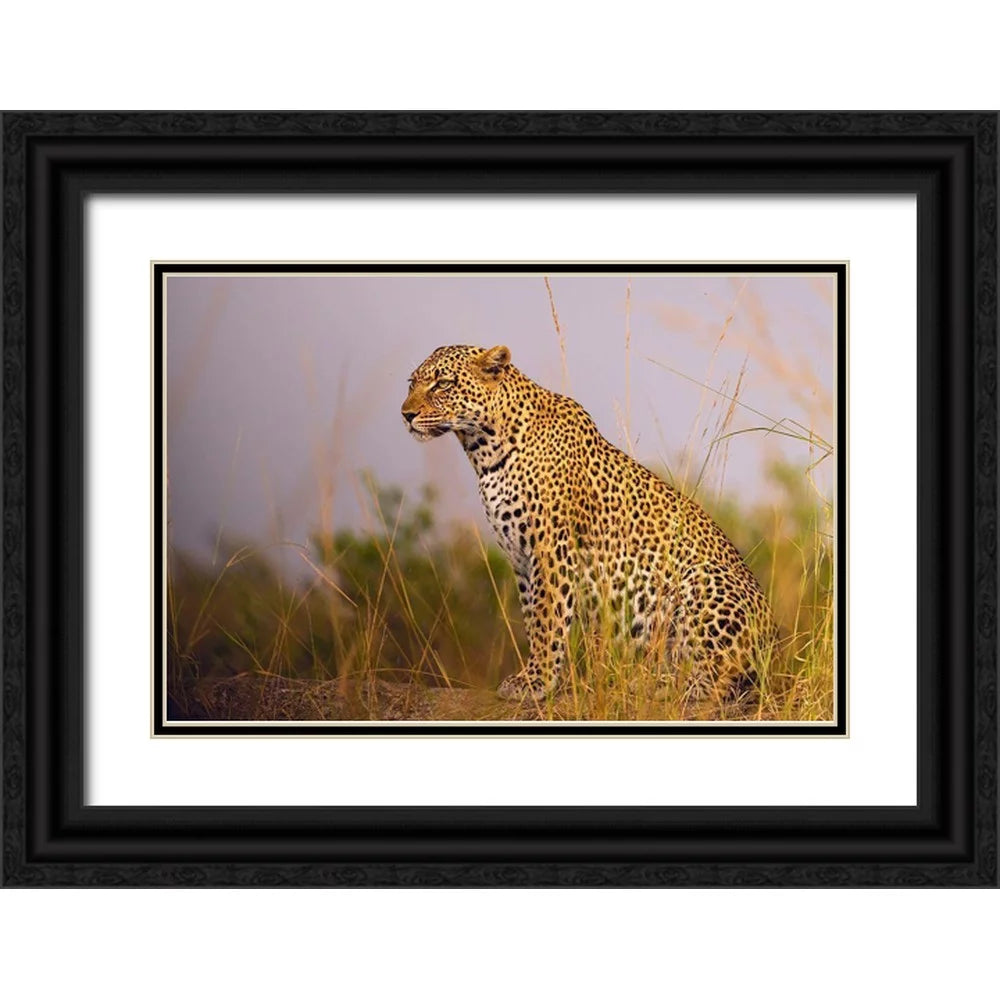 Black Ornate Wood Framed Art Print L492