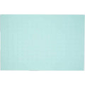 Dog Placemat P505