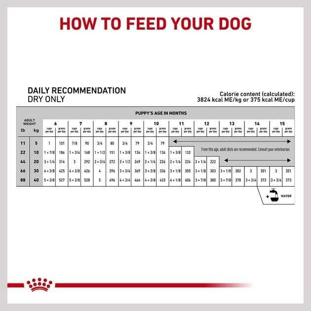 Hydrolyzed Protein Puppy Dry Dog Food D997