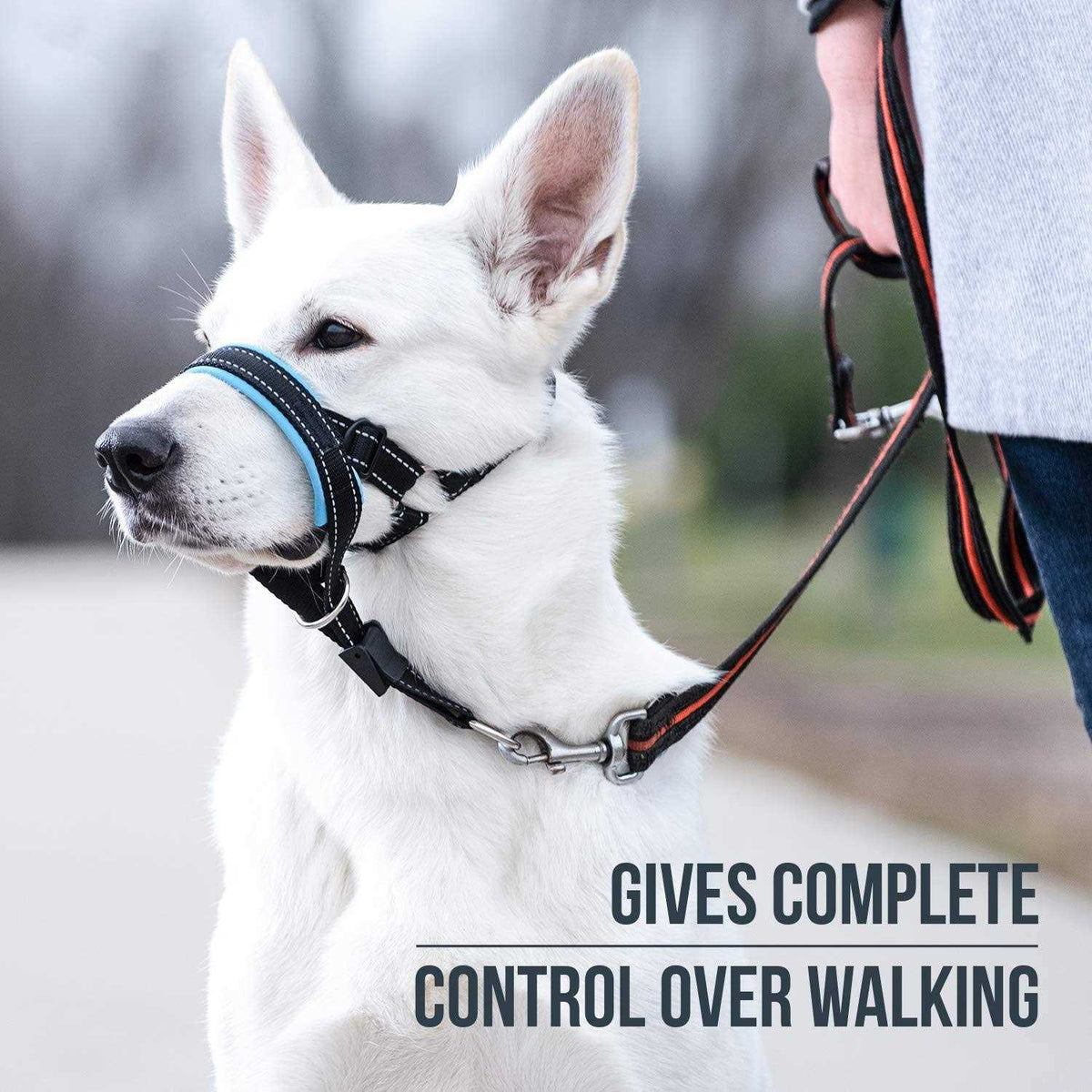 Dog Head Halter with Safety Strap G413