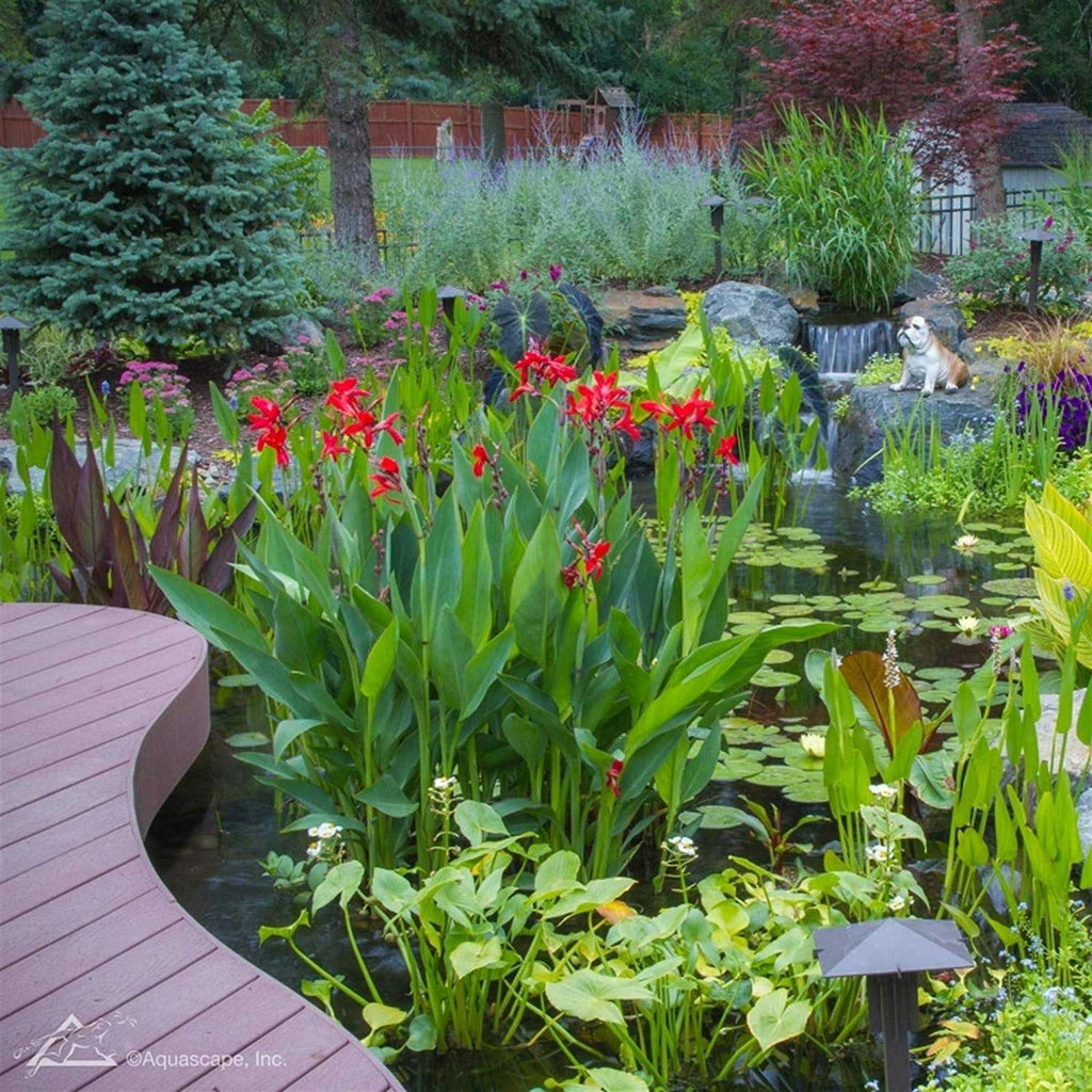 Pond Plant Potting Media W168