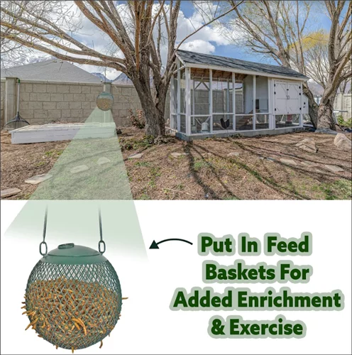 Dried Mealworms 22 lb C8486