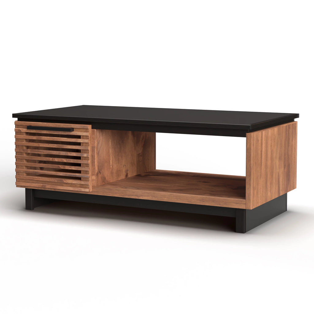 Mid Century Modern Storage Coffee Table U8898