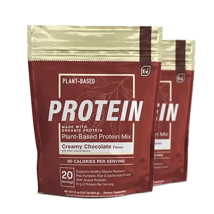 Chocolate Protein Y839166