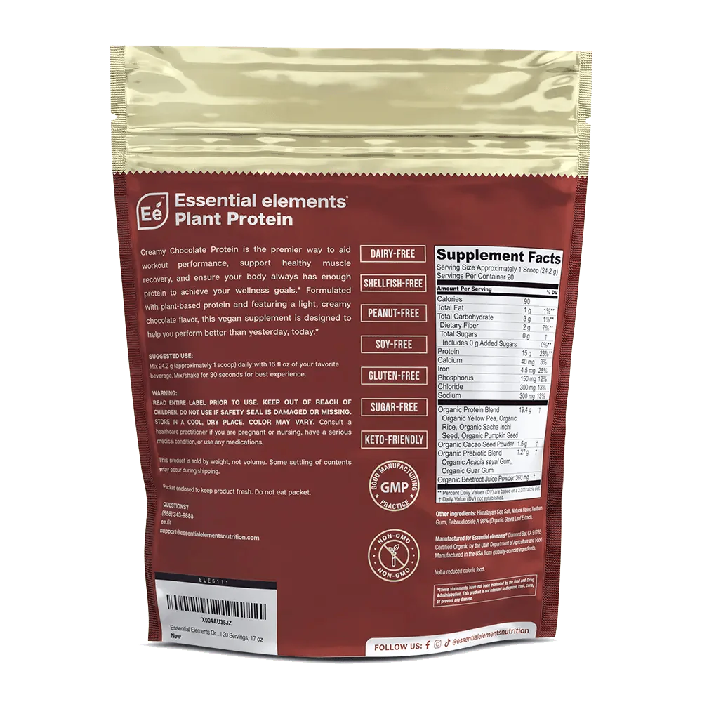 Chocolate Protein Y839166