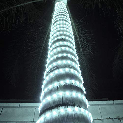 LED Rope Lights with Multifunction Controller 30 Ft E63613
