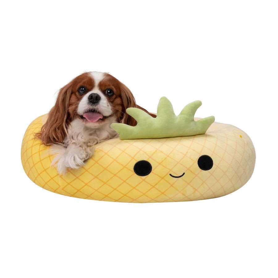 Pineapple Pet Bed R1155