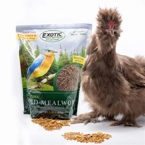 Dried Mealworms 22 lb C8486