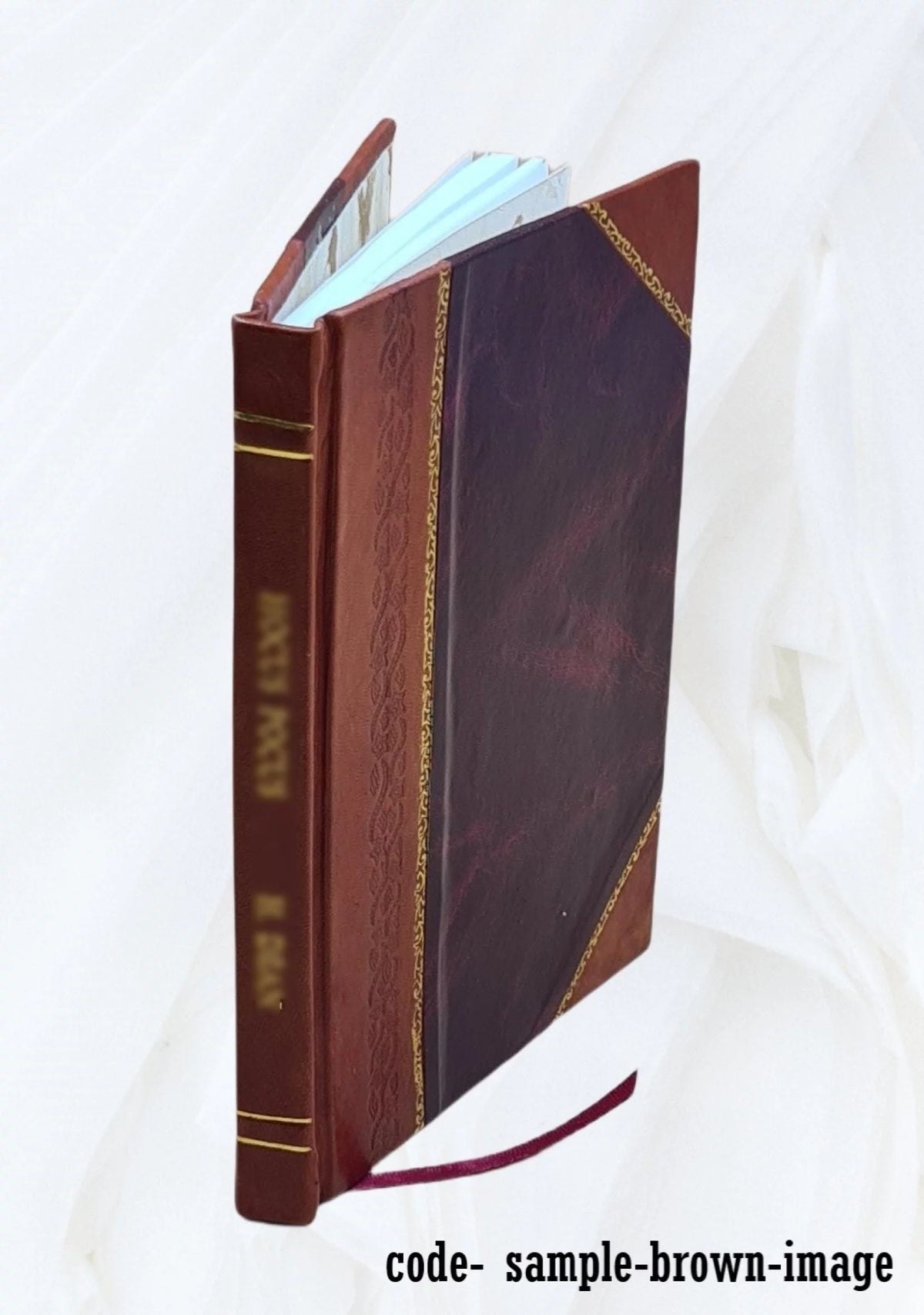 Leather Bound Volume Brief and Appendix V75749
