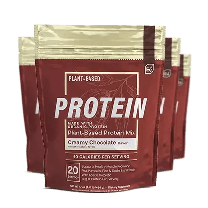 Chocolate Protein Y839166