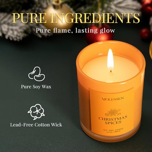 3 Pack 30oz Soy Scented Candles U694