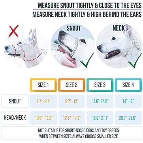 Dog Head Halter with Safety Strap G413