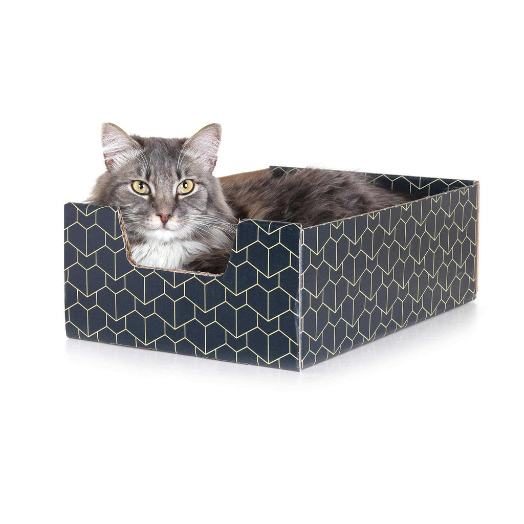 Blue Cat Box C876847