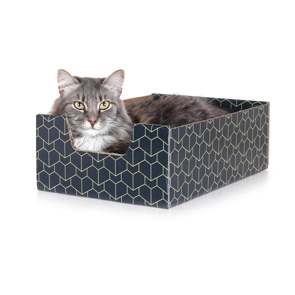Blue Cat Box C876847