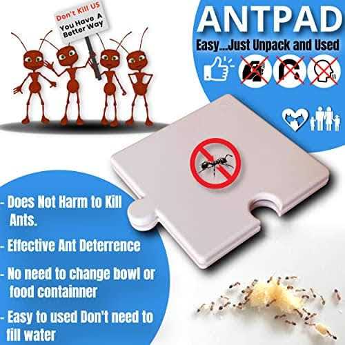 Ant Proof Dog Cat Pet Bowl K237038