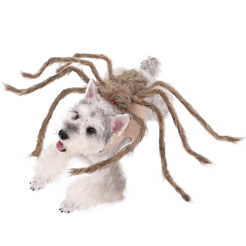Large Black Dog Cat Costume with 8 Legs W789838