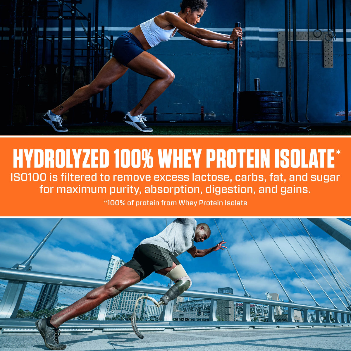Hydrolyzed Whey Isolate Protein Powder Z14111
