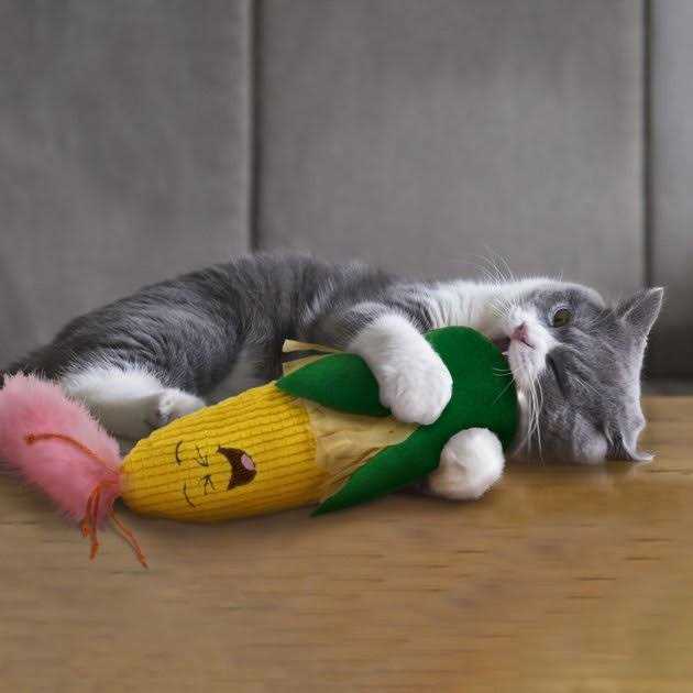 Crinkle Kicker Catnip Cat Toy A97107
