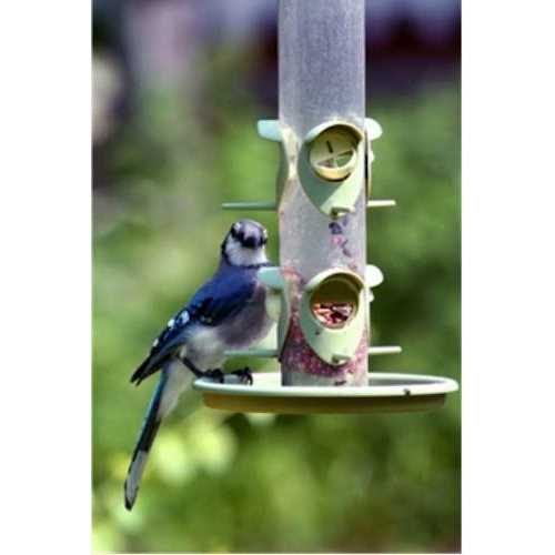Wild Bird Food F60642