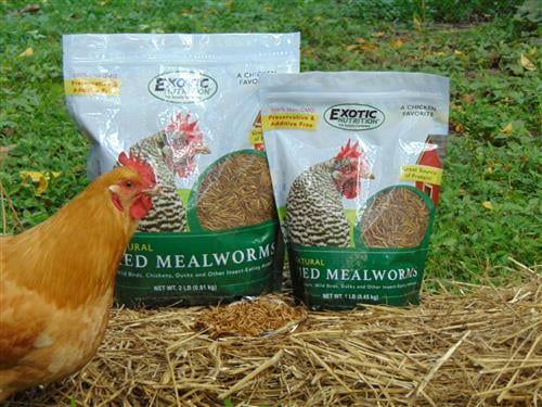Dried Mealworms 22 lb C8486