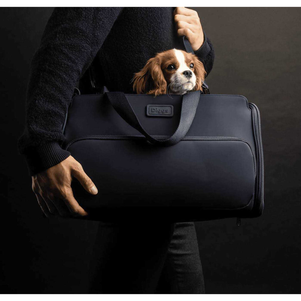Travel Pet Carrier for Small Dogs and Cats Z665614