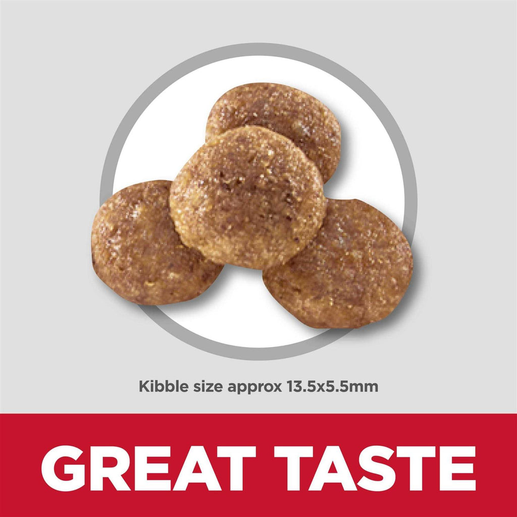 Chicken Recipe Dry Dog Food A1456