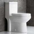 One-Piece Dual Flush Ceramic Toilet E946