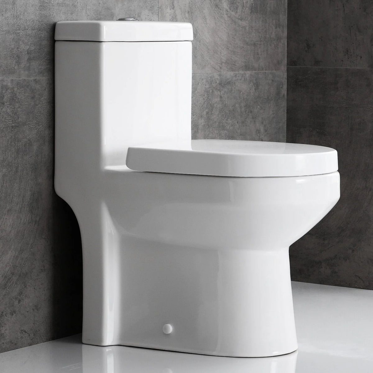 One-Piece Dual Flush Ceramic Toilet E946