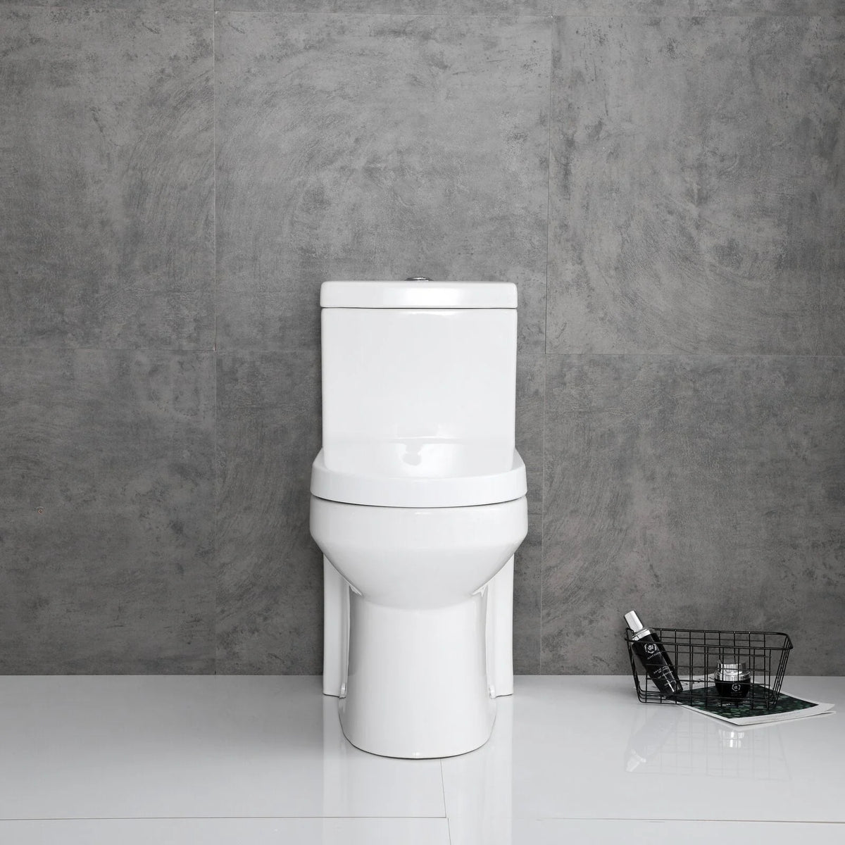 One-Piece Dual Flush Ceramic Toilet E946