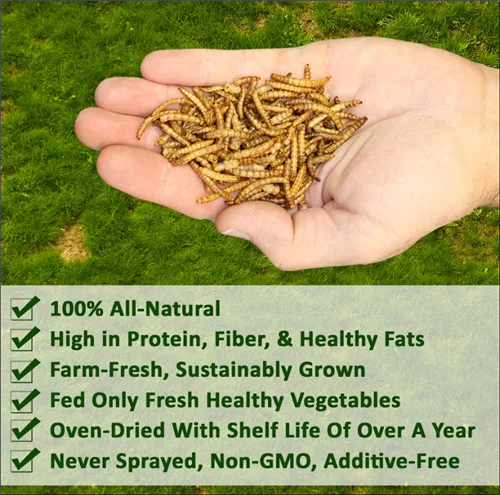 Dried Mealworms 22 lb C8486