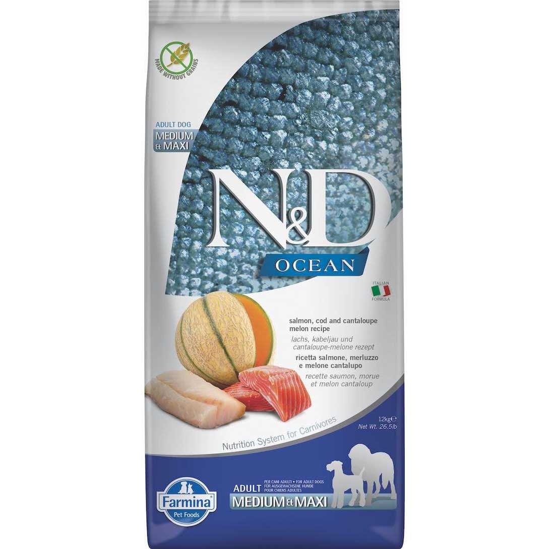 Lamb & Blueberry Puppy Dry Dog Food M352120