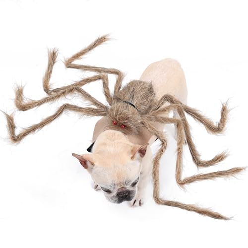 Large Black Dog Cat Costume with 8 Legs W789838
