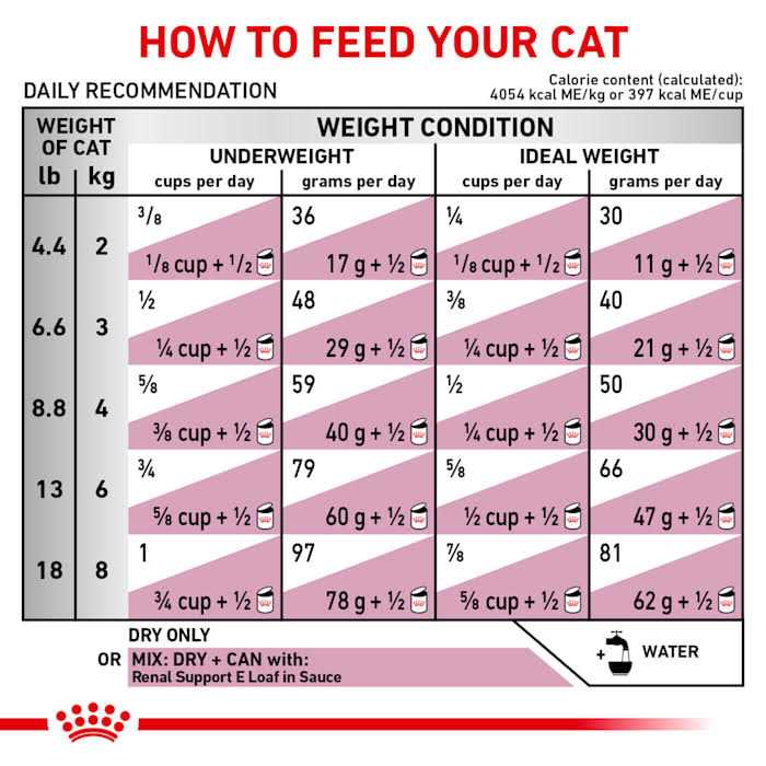 Dry Cat Food M75579