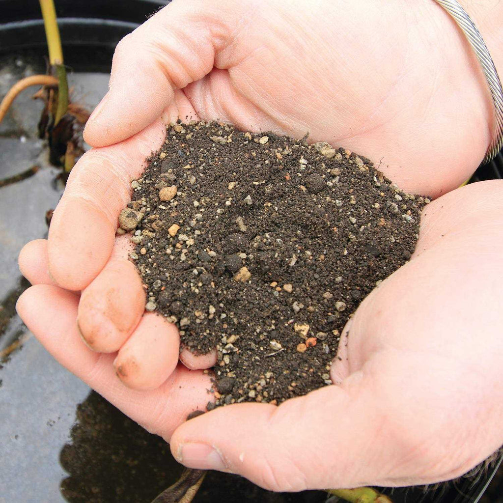 Pond Plant Potting Media W168