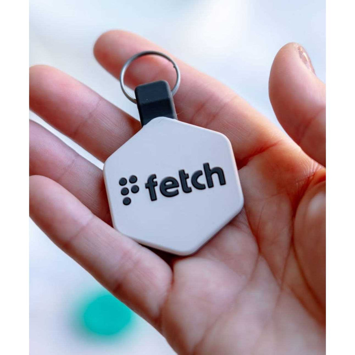 Digital Pet ID Tag U40720