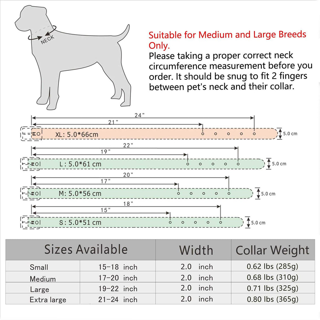Leather Dog Collar 2 Inch K81638
