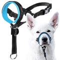 Dog Head Halter with Safety Strap G413