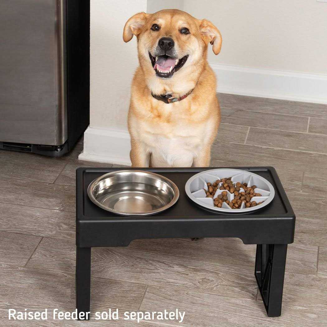 Slow Feeder Dog Bowl with Feeder Holes B78255