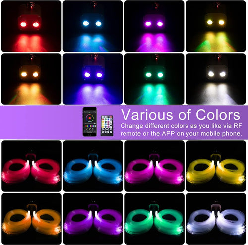 20W Dual-Head Fiber Optic Light with Music Activated RGBW Control H640