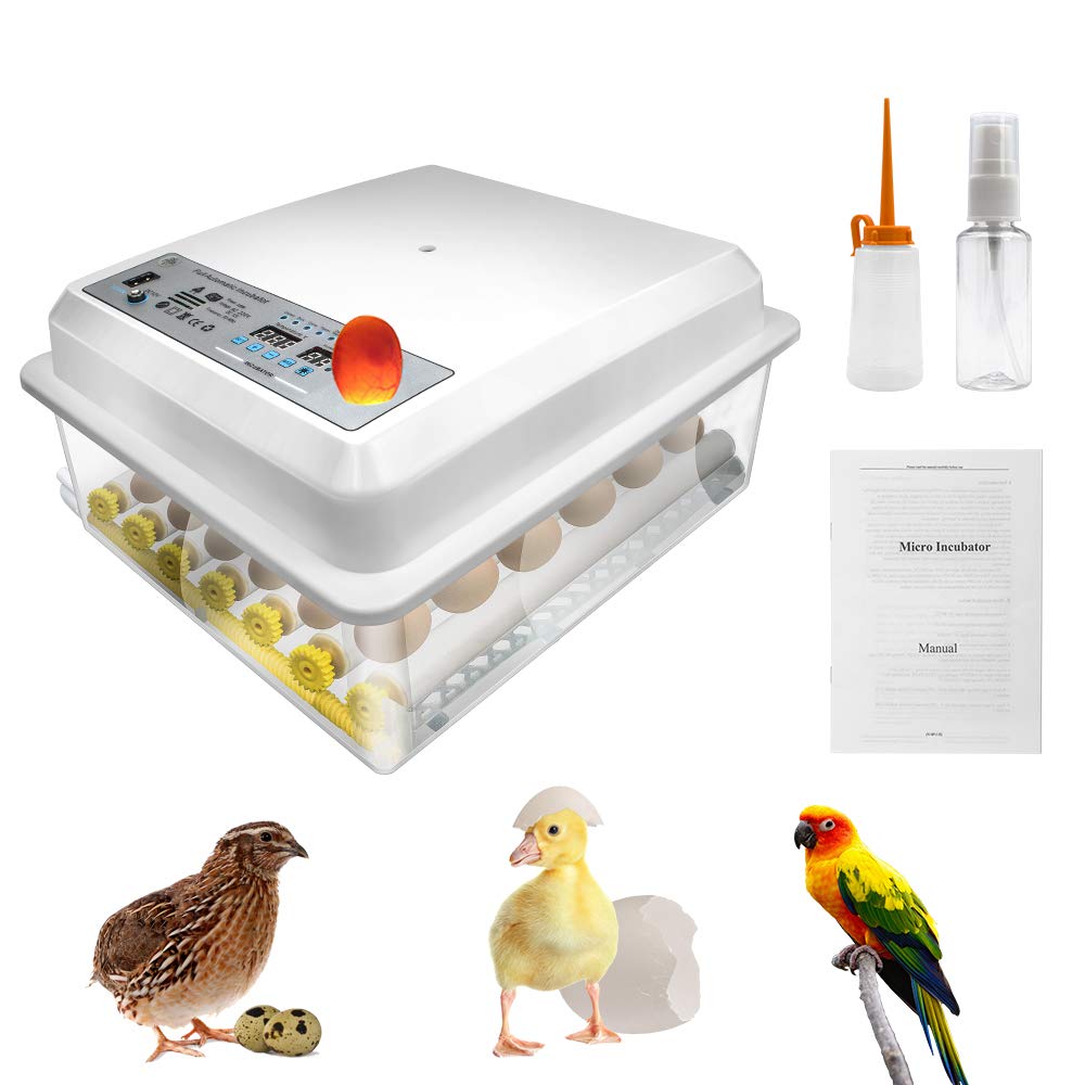 Digital Mini Egg Incubator with Automatic Turner and Egg Candler 16 Eggs I595248