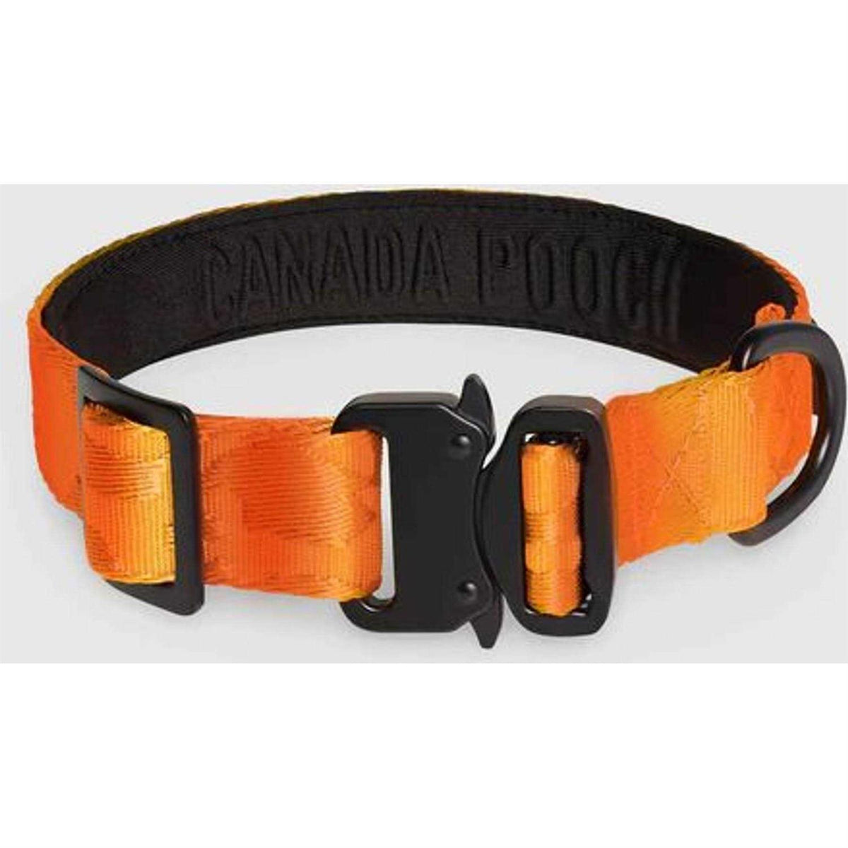 Utility Dog Collar K230