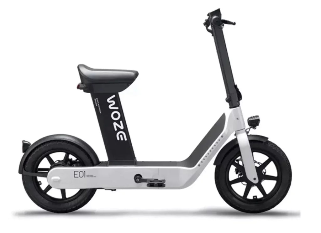 Electric Scooter W96895