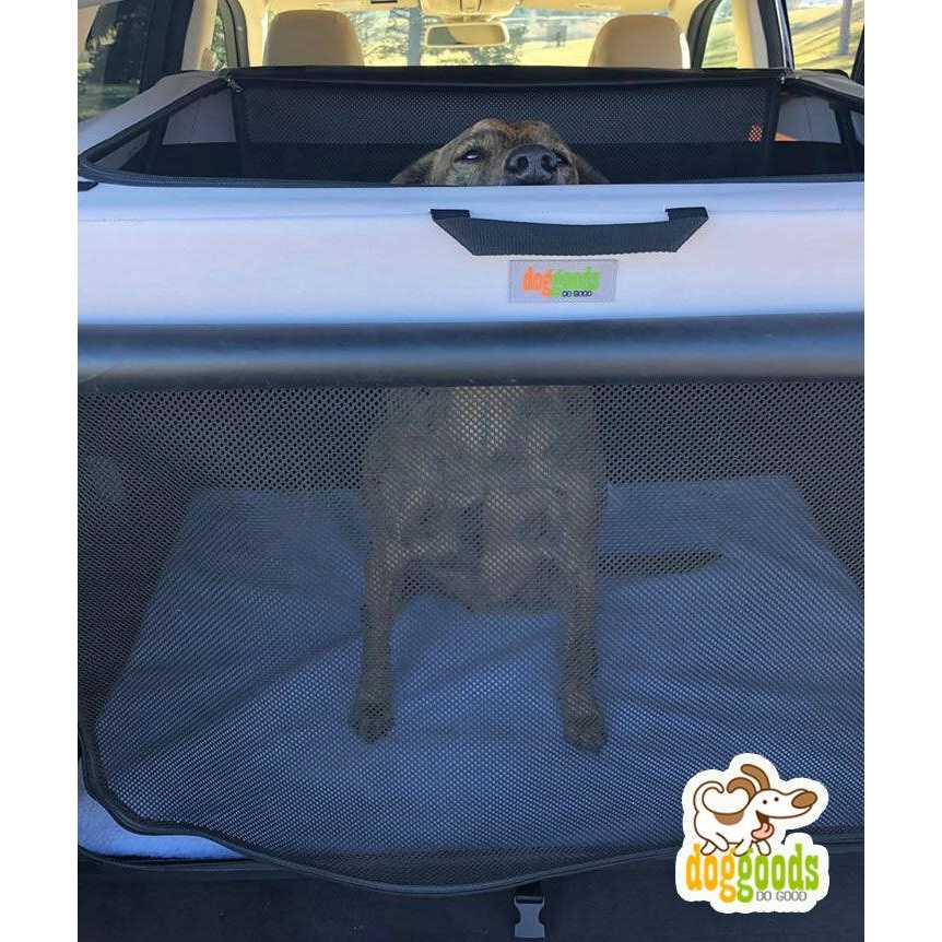 Foldable Travel Dog Crate P45838