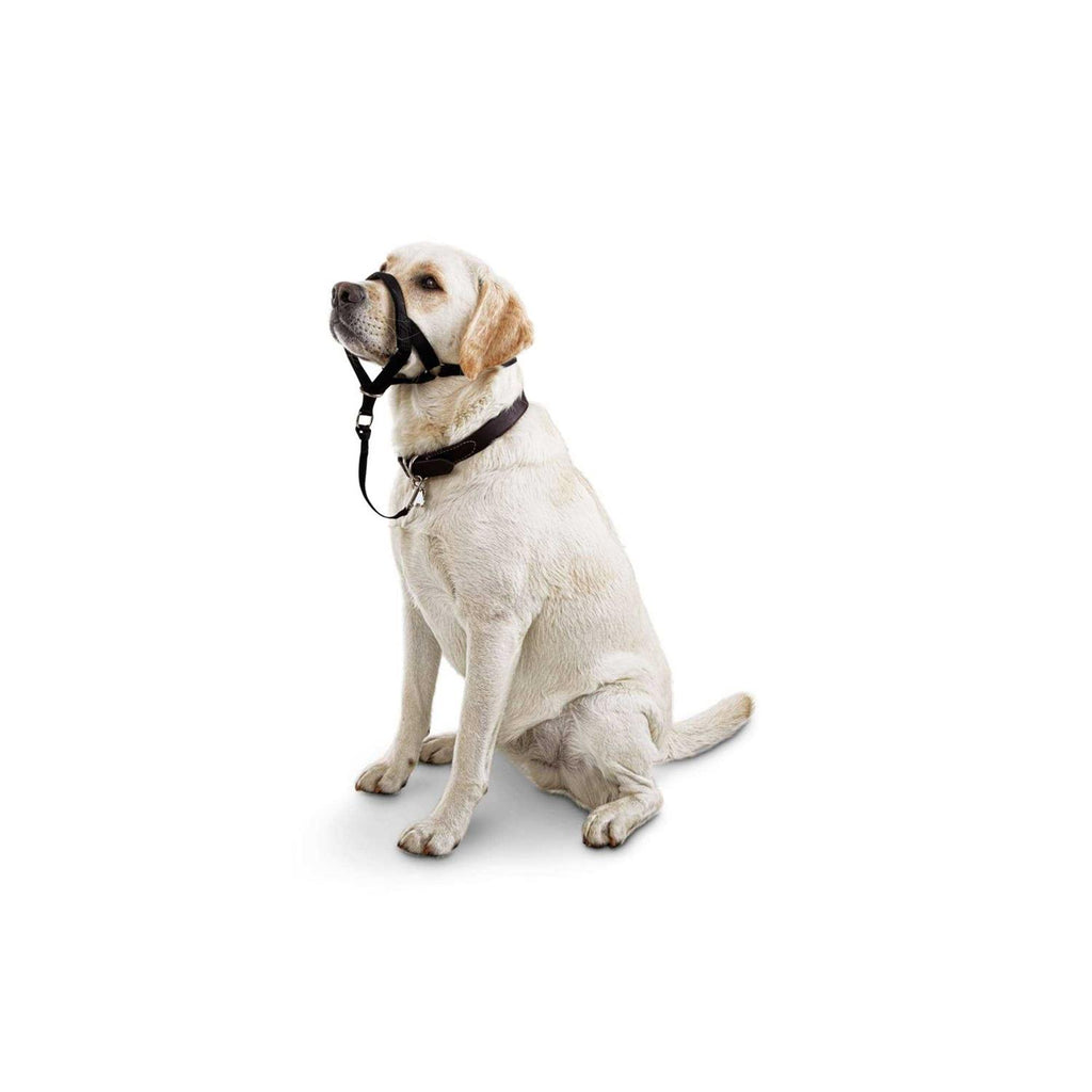 Head Halter A669543