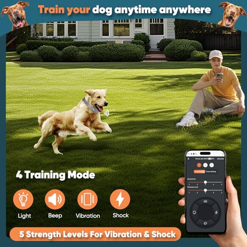 Electric Dog Fence with Training Collar, Rechargeable Waterproof Collar V73708