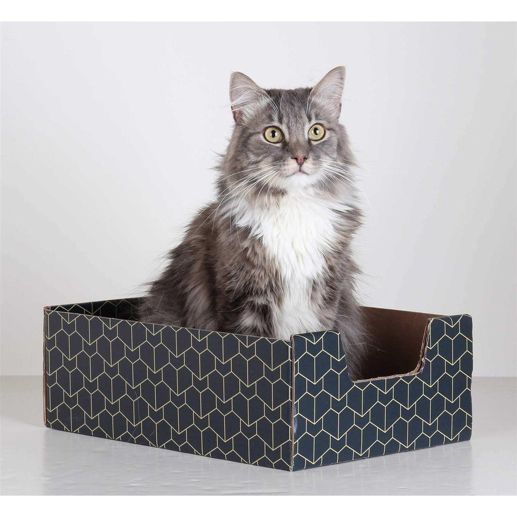 Blue Cat Box C876847